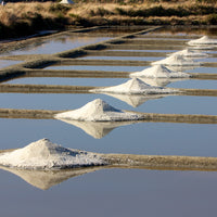 Fleur de Sel Vent d'Est - Vinegar Shed